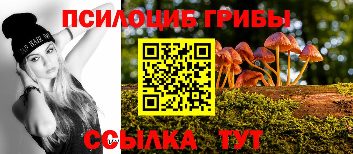 Беслан  Галлюциногенные грибы прущие грибы  Вход с VPN 