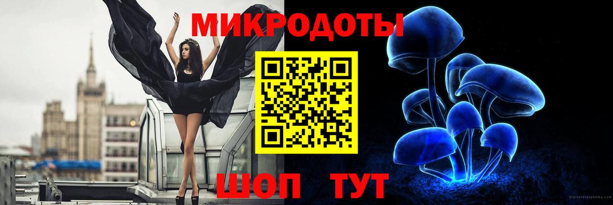Псилоцибиновые грибы Cubensis Беслан